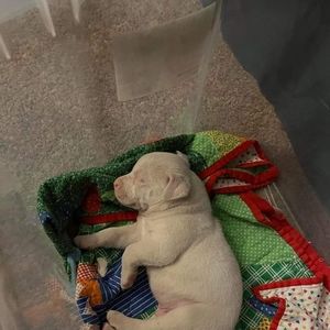 Meet your Posher, Joan